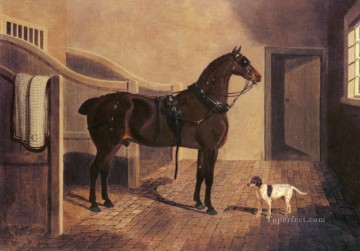 A Favorite Coach Horse And Dog In A Stable Herring Snr John Frederick horse Oil Paintings
